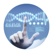 新西兰代孕费用