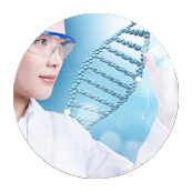 新西兰代孕费用