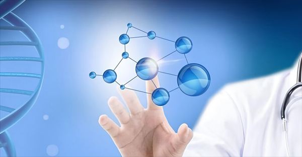 新西兰代孕流程